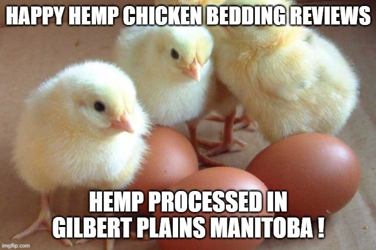 Manitoba Made Chicken Bedding